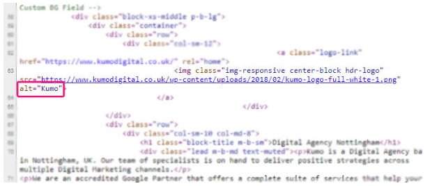 Why is Metadata Important for SEO? Alt Tag Example